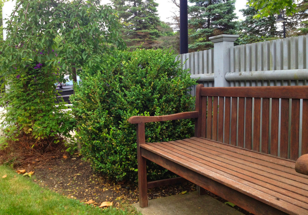garden2