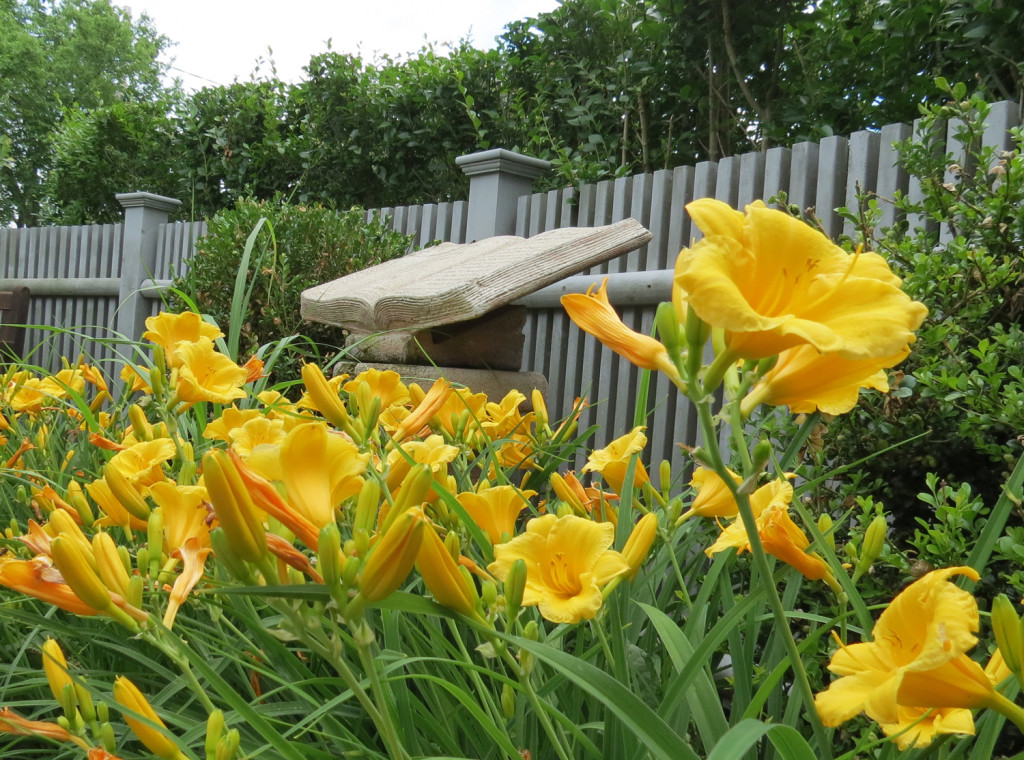 garden3