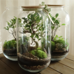 Adult Craft: Mini Terrarium @ large meeting room- Rowley Public Library