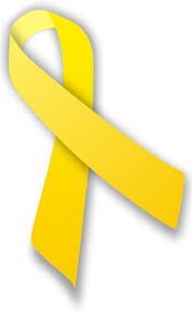 Supporting People at Risk of Suicide - VIRTUAL @ online via Zoom